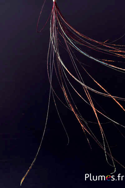 Ciondolo in filo di pavone - 15-28 cm - carminio-verde naturale